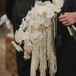 TOASTの写真2枚目