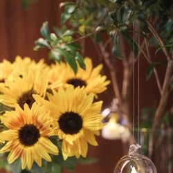 THE SORAKUEN の写真4枚目