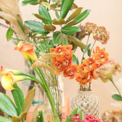 THE SORAKUEN の写真28枚目