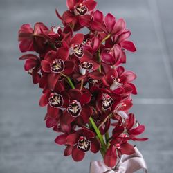 SOLA KOBEの写真24枚目