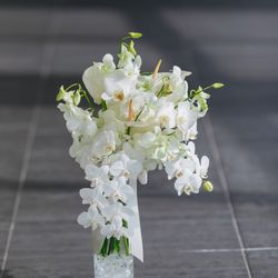 SOLA KOBEの写真3枚目