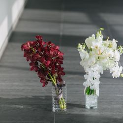 SOLA KOBEの写真9枚目