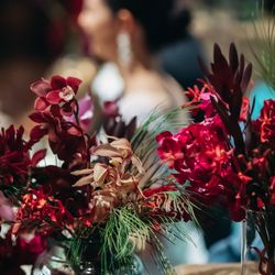 SOLA KOBEの写真15枚目