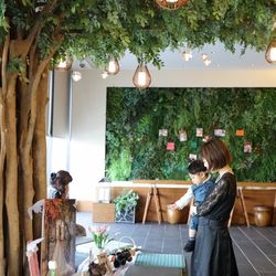 SOLA KOBEの写真18枚目