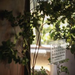 Mia Viaの写真9枚目