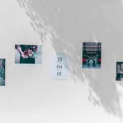 Mia Viaの写真4枚目