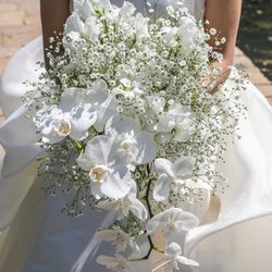 Mia Viaの写真4枚目