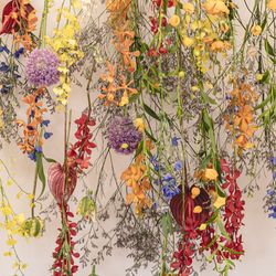 Mia Viaの写真18枚目