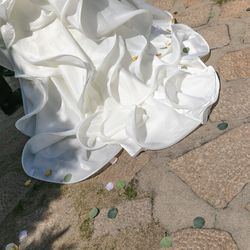 Mia Viaの写真4枚目