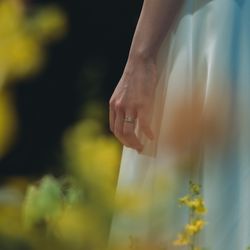 TOASTの写真23枚目