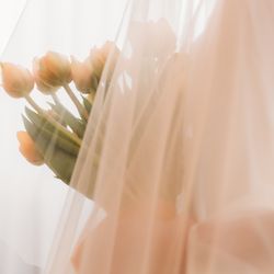 TOASTの写真5枚目