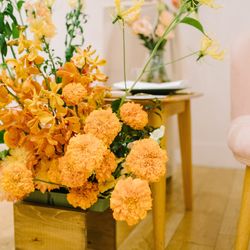 メゾン プルミエールの写真36枚目