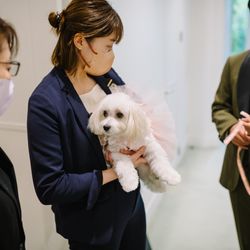 メゾン プルミエールの写真6枚目