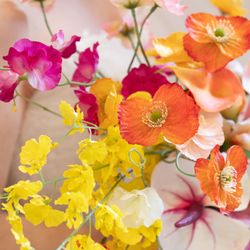 ウェディングスホテル・ベルクラシック東京の写真29枚目