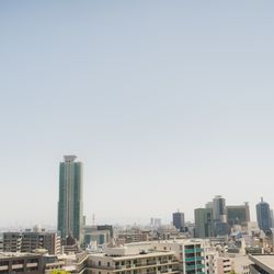 TOASTの写真36枚目