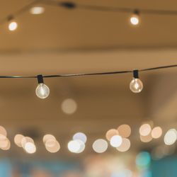 TOASTの写真33枚目