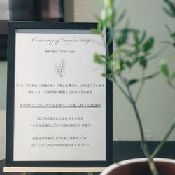 SOLA KOBEの写真28枚目