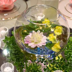 ルーキスの写真35枚目