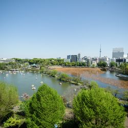 ルーキスの写真19枚目