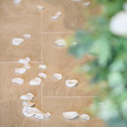 ルーキスの写真32枚目