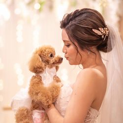 TRUNK BY SHOTO GALLERYの写真15枚目