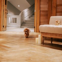 TRUNK BY SHOTO GALLERYの写真3枚目