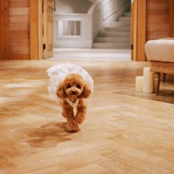 TRUNK BY SHOTO GALLERYの写真25枚目