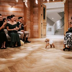 TRUNK BY SHOTO GALLERYの写真7枚目