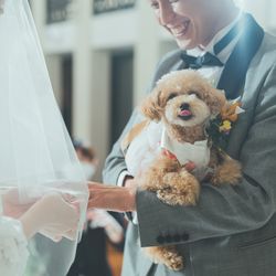 カノビアーノ 福岡の写真10枚目