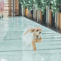 カノビアーノ 福岡の写真1枚目