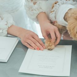 カノビアーノ 福岡の写真2枚目