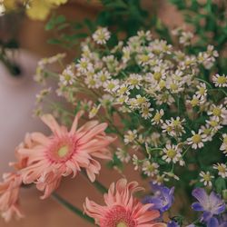 THE SORAKUEN の写真18枚目