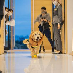 ザ・サーフ オーシャンテラスの写真11枚目