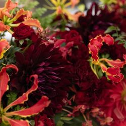 グランドニッコー東京 台場の写真16枚目