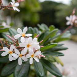 グランドニッコー東京 台場の写真27枚目
