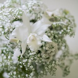 エネコ東京の写真9枚目