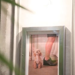 TRUNK BY SHOTO GALLERYの写真28枚目