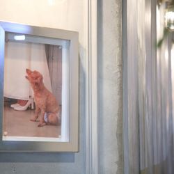 TRUNK BY SHOTO GALLERYの写真4枚目