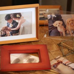 TRUNK BY SHOTO GALLERYの写真18枚目