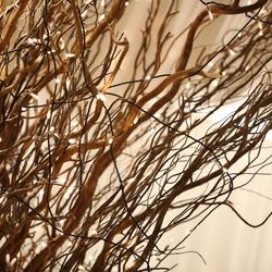 TRUNK BY SHOTO GALLERYの写真26枚目