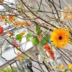 TRUNK HOTELの写真14枚目