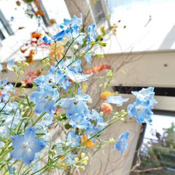 TRUNK HOTELの写真18枚目