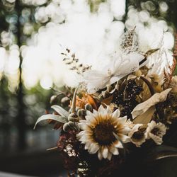 クラシカ表参道の写真31枚目