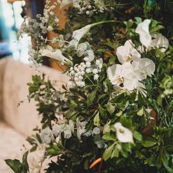 クラシカ表参道の写真29枚目