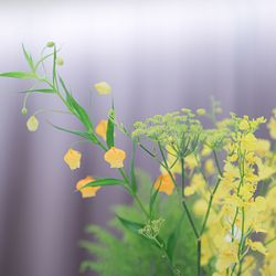 アネーリ軽井沢の写真12枚目