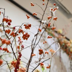 TRUNK HOTELの写真26枚目