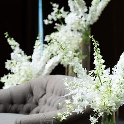 パレスホテル東京の写真7枚目