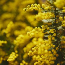 キンプトン新宿東京の写真31枚目