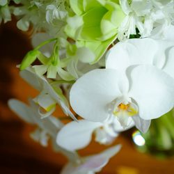 アンダーズ東京の写真15枚目