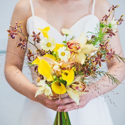 メゾン プルミエールの写真31枚目